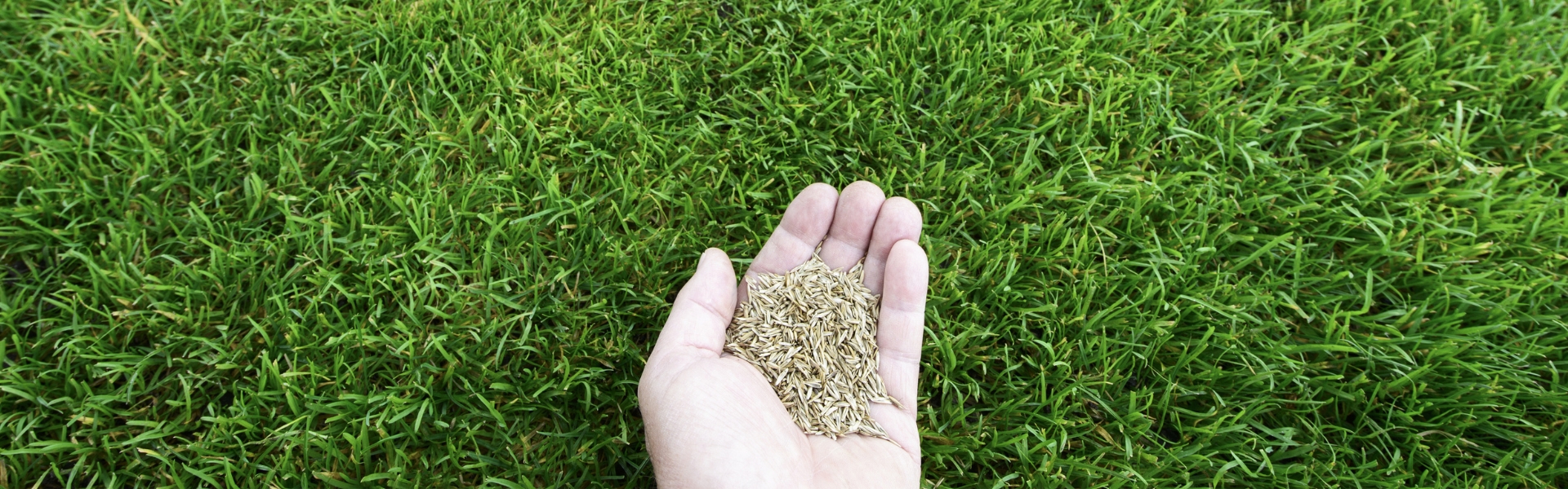 精品久久久久一区二区三区